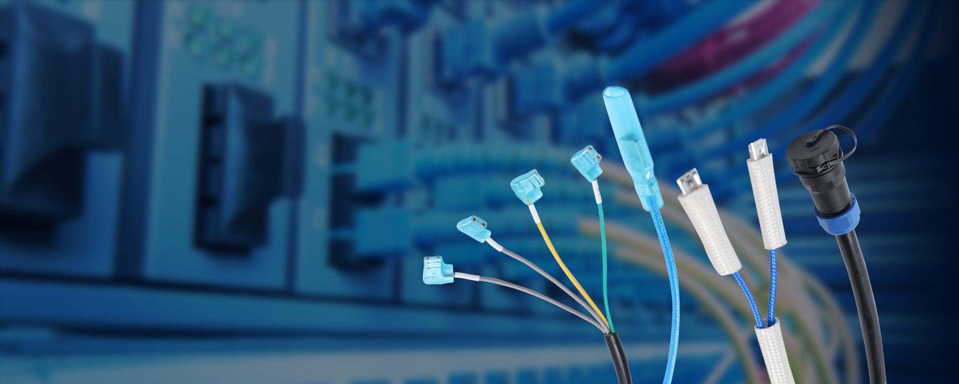 Jiangyin Zhijun Appliance Cavo elettrico e fili Co., ltd