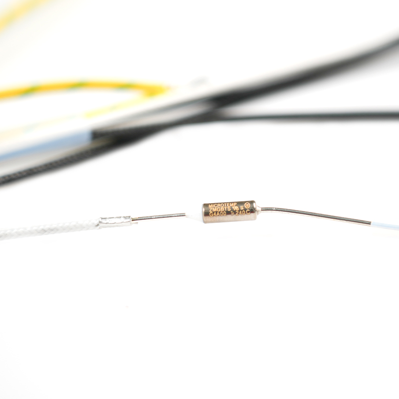 Cablaggio di collegamento interno dell'aspirapolvere Cablaggio di collegamento interno dell'aspirapolvere