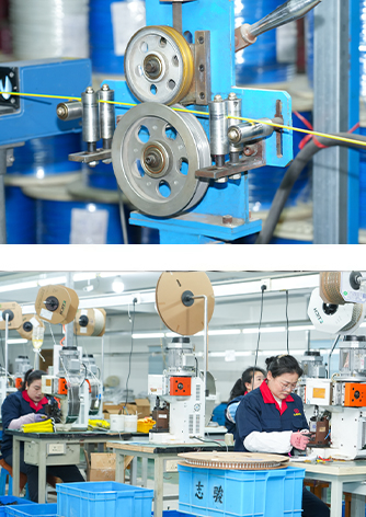 Jiangyin Zhijun Appliance Cavo elettrico e fili Co., ltd